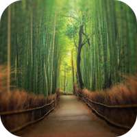 tempat Anda harus melihat on 9Apps