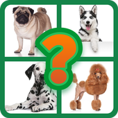Popular Dog Breeds Quiz icon