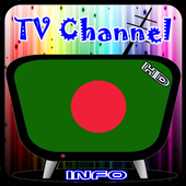 Info TV Channel Bangladesh HD icon