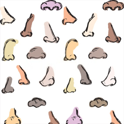 How To Draw Noses icon
