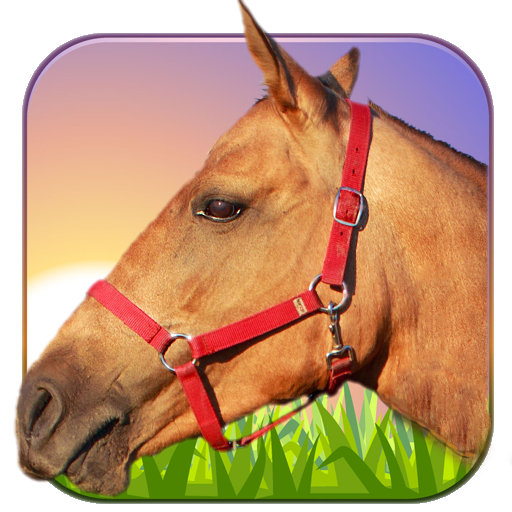 Horse Ride 3D icon