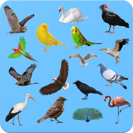 Birds - Learning Birds icon