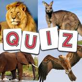 Animals Quiz