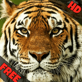 Indian Animal Sounds icon