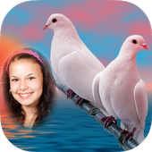 Cool Amazing Dove Photo Frames أيقونة