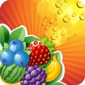 Fruit Splash