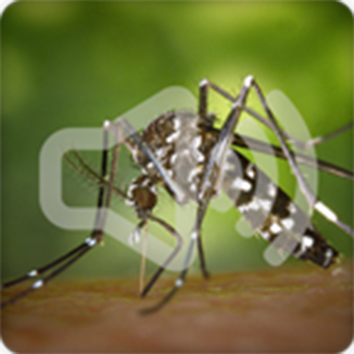 Mosquito Sounds Ringtone icon