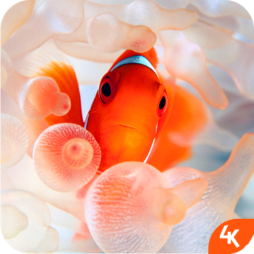 Fish Wallpaper (4k) icon