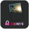 Secret Gallery icon
