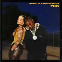 TKN (feat. Travis Scott) - ROSALIA on 9Apps