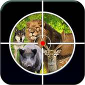 Sniper animal Tiro 3D