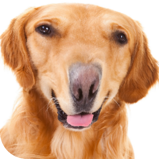 Face Warp Funny icon