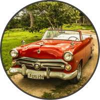 Real Car Alarm Sounds