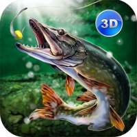 Fishing Simulator: Catch Wild