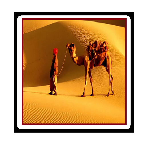 Travel Jaipur🌇- World Heritage city🌍 (UNESCO) icon