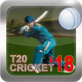 T20 World Cricket 2018