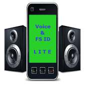 Voice Full Screen Caller ID Li