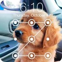 Cute Dogs Labrador HD AppLock Security on 9Apps