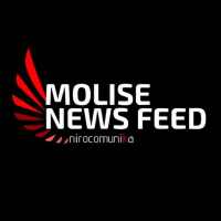 Molise News Feed on 9Apps