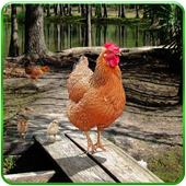 Hen Family Simulator icon