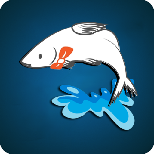 Nodir Mach Online Shopping App icon