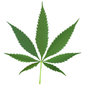 My Weed Man icon