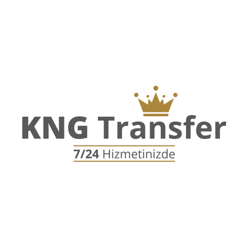 King Driver icon