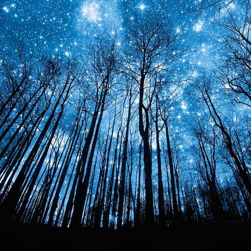 Night Sky And Stars Wallpapers icon
