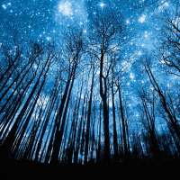 Night Sky And Stars Wallpapers on 9Apps