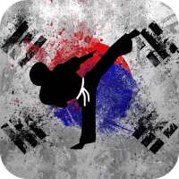 Hapkido Training - Videos