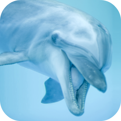 Dolphin Sounds icon