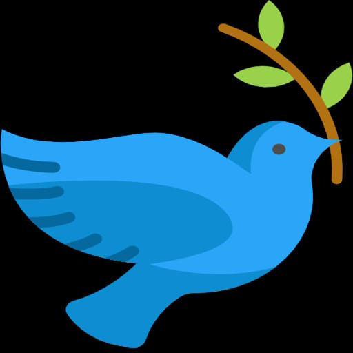 Dove Bird Fact icon