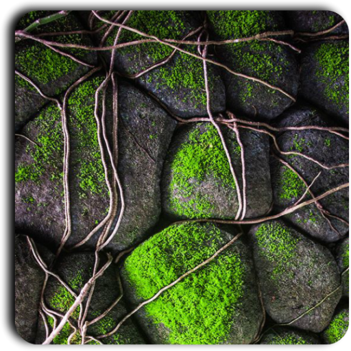 Textures Wallpapers icon