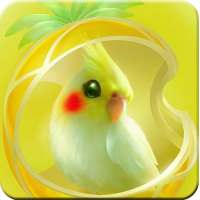 Parrot Wallpapers HD on 9Apps