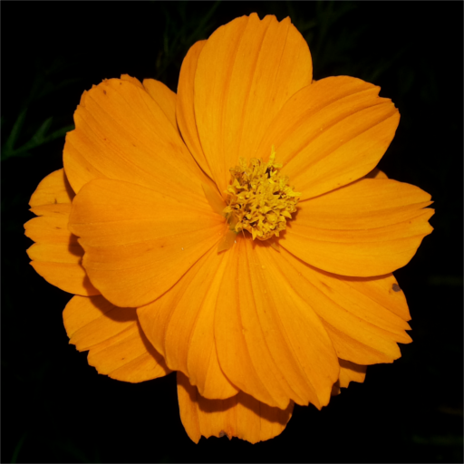 TooB Launcher Lite icon