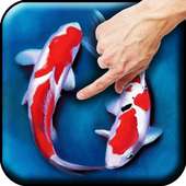 Koi - Aquarium on 9Apps