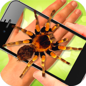 Spider on Hand Terrible joke icon