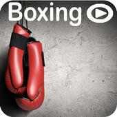 Boxing Learning And Training App Videos