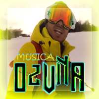 Ozuna Te Soñé De Nuevo Canción