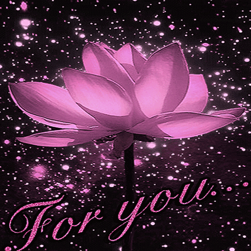 Lotus For You LWP icon