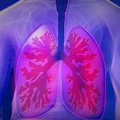 Essential Facts About Lung Cancer on 9Apps