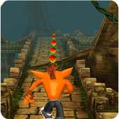 Temple Crash Running Bandicoot
