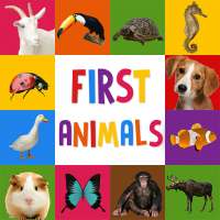 First Words for Baby: Animals