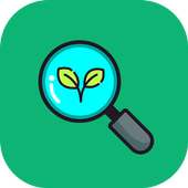 Magnifier Pro on 9Apps