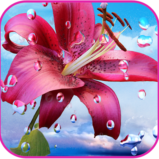 Water Drop HD Wallpapers icon