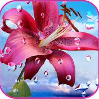 Water Drop HD Wallpapers on 9Apps