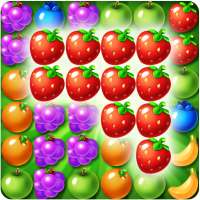 Farm fruit pop: tempo del partito