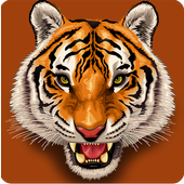 Tiger's Eye icon
