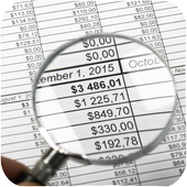 Magnifying Glass with Flashlight icon