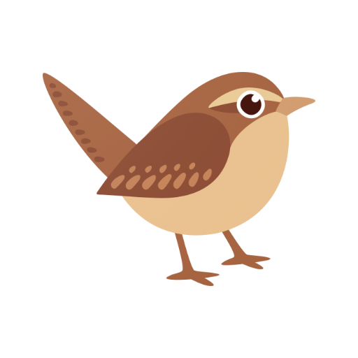 Birder.AI - The Bird Sound Identifier icon
